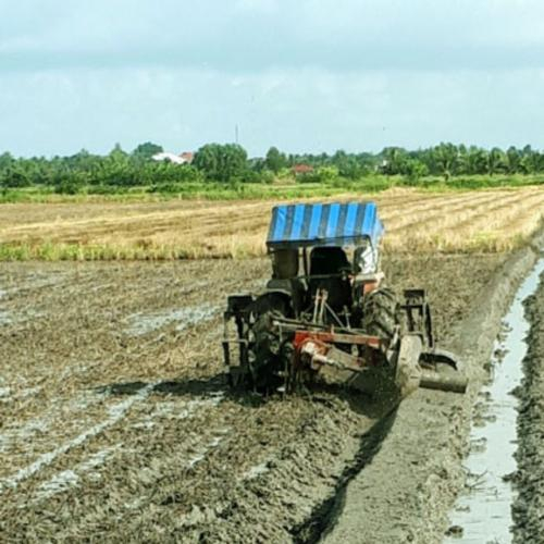 Kiên Giang: Người Thích "Táy Máy" Khiến Nông Dân Nhẹ Cả Người